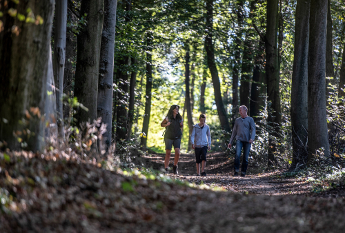 Wandern | WfG Emmerich