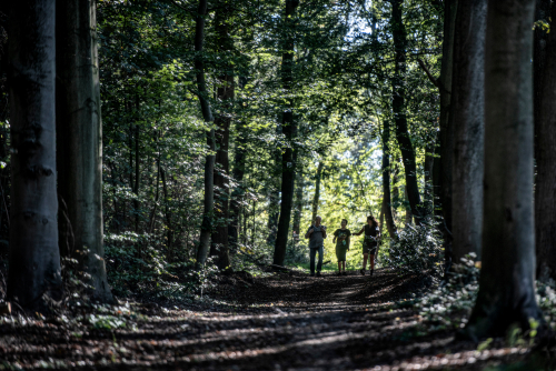 Wandern > Wandern in Emmerich am Rhein? | WfG Emmerich